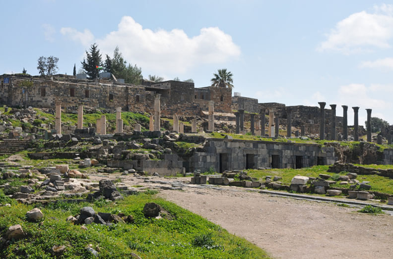 Umm Qais Runis